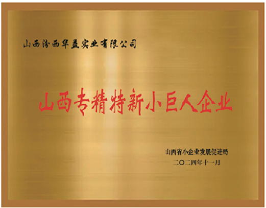 山西專精特新小巨人企業.png